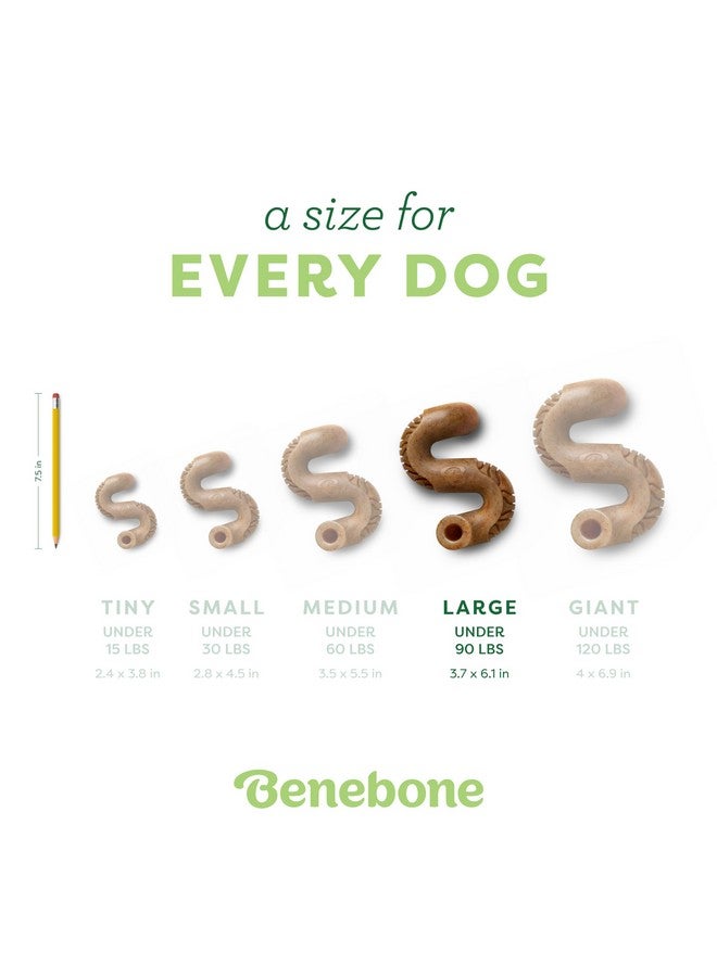 Benebone Tripe Bone Durable Dog Chew Toy for Aggressive Chewers, Real Tripe, Made in USA, Large - Image 3
