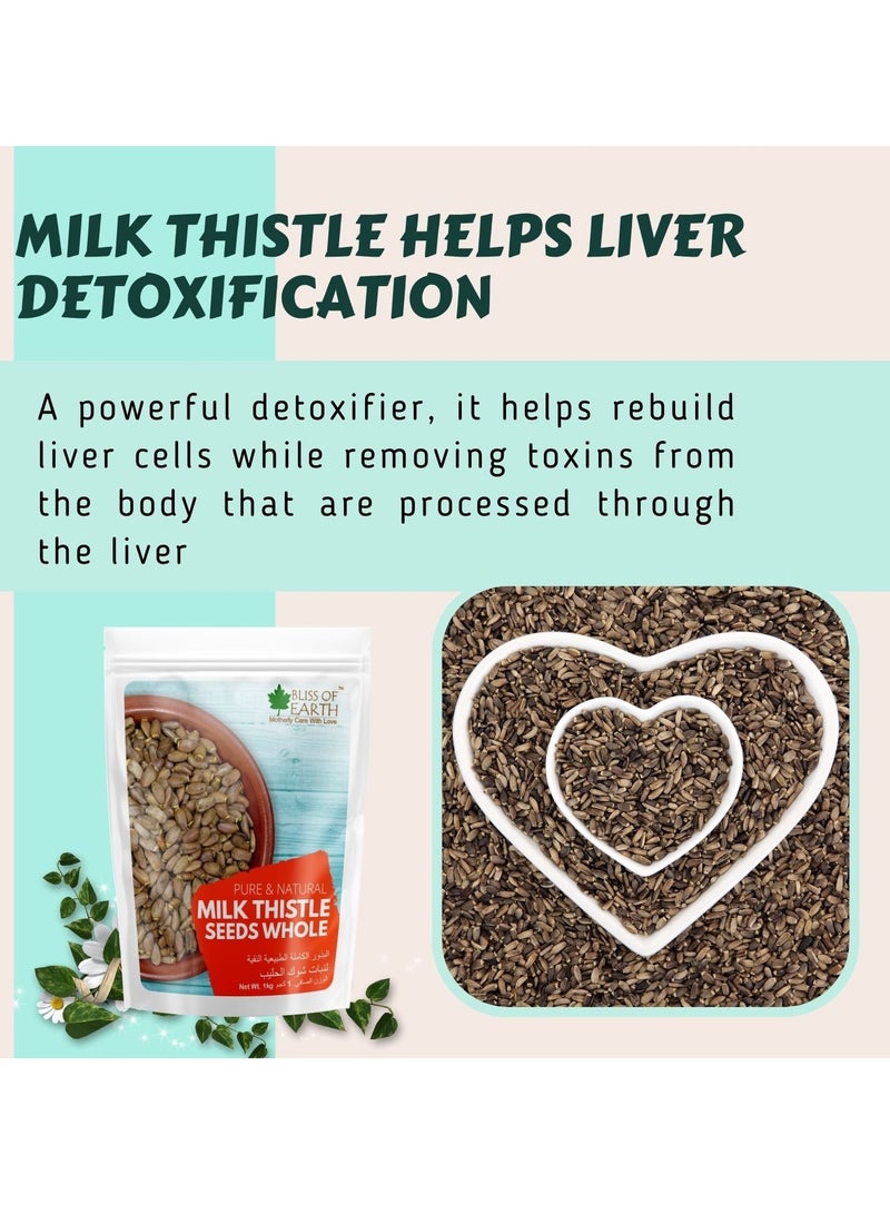 Bliss of Earth Milk Thistle Seeds Organic Super Food for Liver Cleansing, Immunity Booster Milk Tea 500gm - Image 5