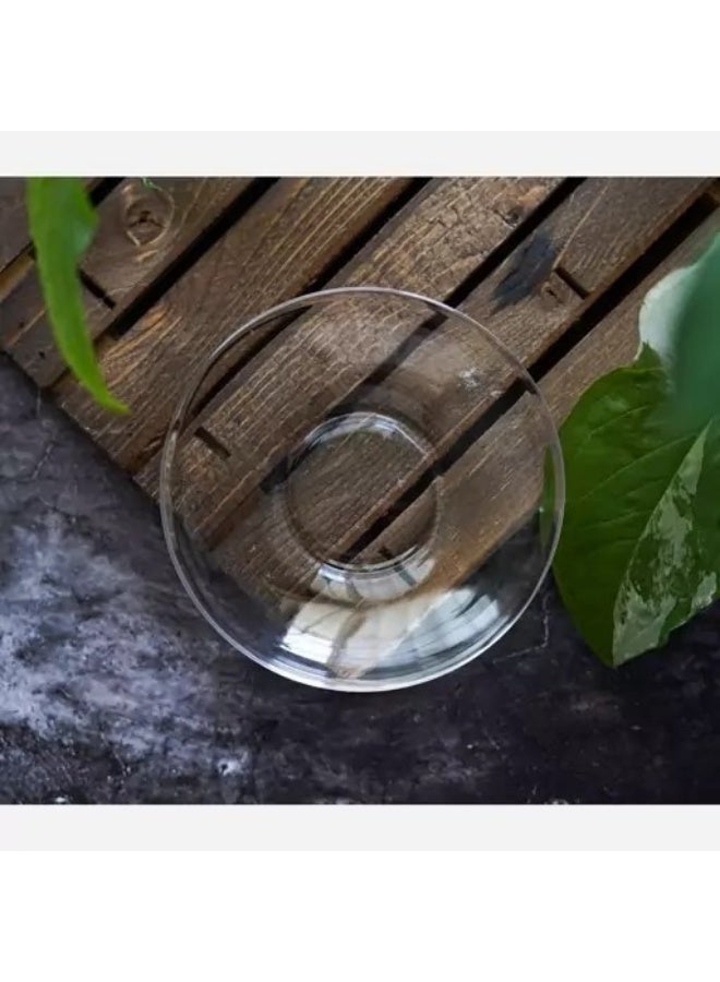 Blinkmax Set of 6 small clear glass plates - Image 2