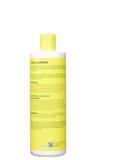 Jamaican Mango & Lime Jamaican Mango and Lime Tingle Shampoo, 16 Ounce  - Image 2