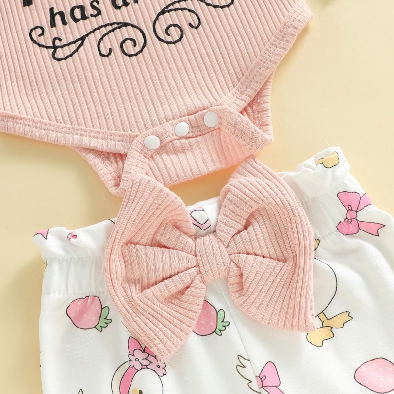 Ayalinggo Newborn Baby Girl Clothes The Princess Has Arrived Romper Elastic Waist Pants Set Cute Infant Coming Home Outfits (Pink, Preemie) - Image 5