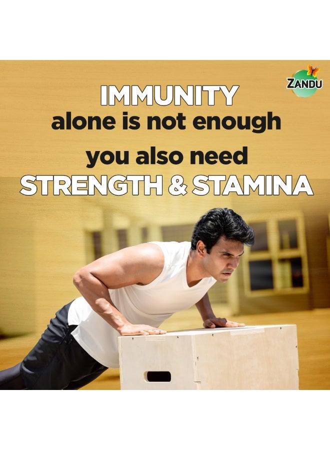 Zandu combination of Shilajit and selected herbs of Chyawanpash, a powerhouse of 47 potent Ayurvedic herbs - Image 2