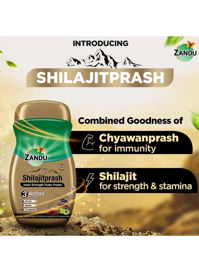 Zandu combination of Shilajit and selected herbs of Chyawanpash, a powerhouse of 47 potent Ayurvedic herbs - Image 3