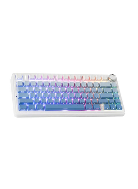 AULA F75 Gasket Mechanical Keyboard, 75% Wireless Hot Swappable Gaming Keyboard with Five-Layer Padding&Knob, Bluetooth/2.4GHz/USB-C, RGB (Blue Gradient, LEOBOG Reaper Switch)
