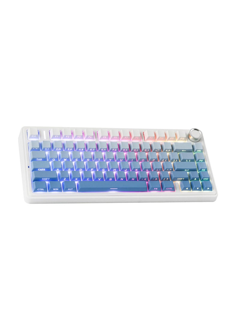 AULA F75 Gasket Mechanical Keyboard, 75% Wireless Hot Swappable Gaming Keyboard with Five-Layer Padding&Knob, Bluetooth/2.4GHz/USB-C, RGB (Blue Gradient, LEOBOG Reaper Switch)
