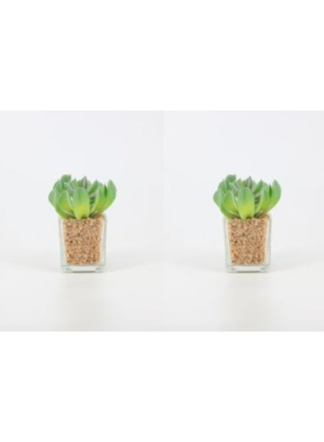 Rahalife Artificial Succulent Bonsai – Realistic Decorative Plants Pack of 2 - Image 1
