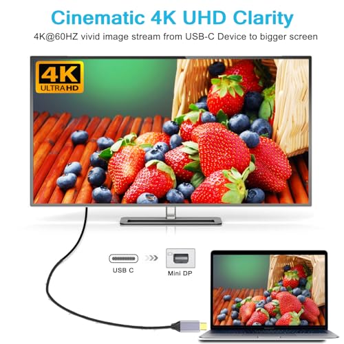 vienon 6FT USB C to Mini DisplayPort Cable, 4K@60Hz Type C to Mini-DisplayPort Cable Compatible with iPhone 15,MacBook Pro/Air/iMac/Surface etc (No Bi-Directional, Not for Thunderbolt 2) - Image 2