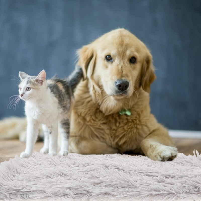 2 pcs Pet Warm Dog Cat Bed Autumn Winter Pet Sheeping Bed Pet Supplies - Image 3