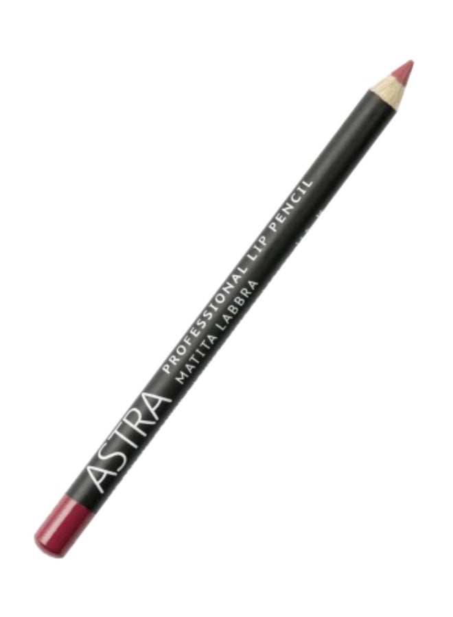 Astra Professional Lip Pen Mauv Dimens46 - Image 1