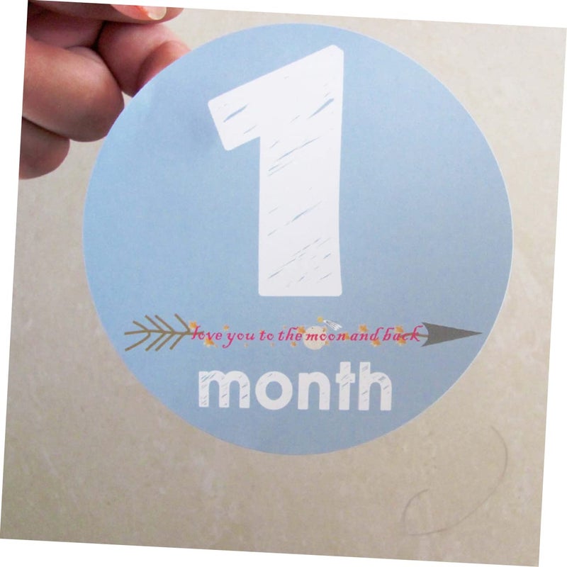 12Pcs Baby Milestone Stickers for Newborn Photos First Year Growth Memory Decals - Image 5