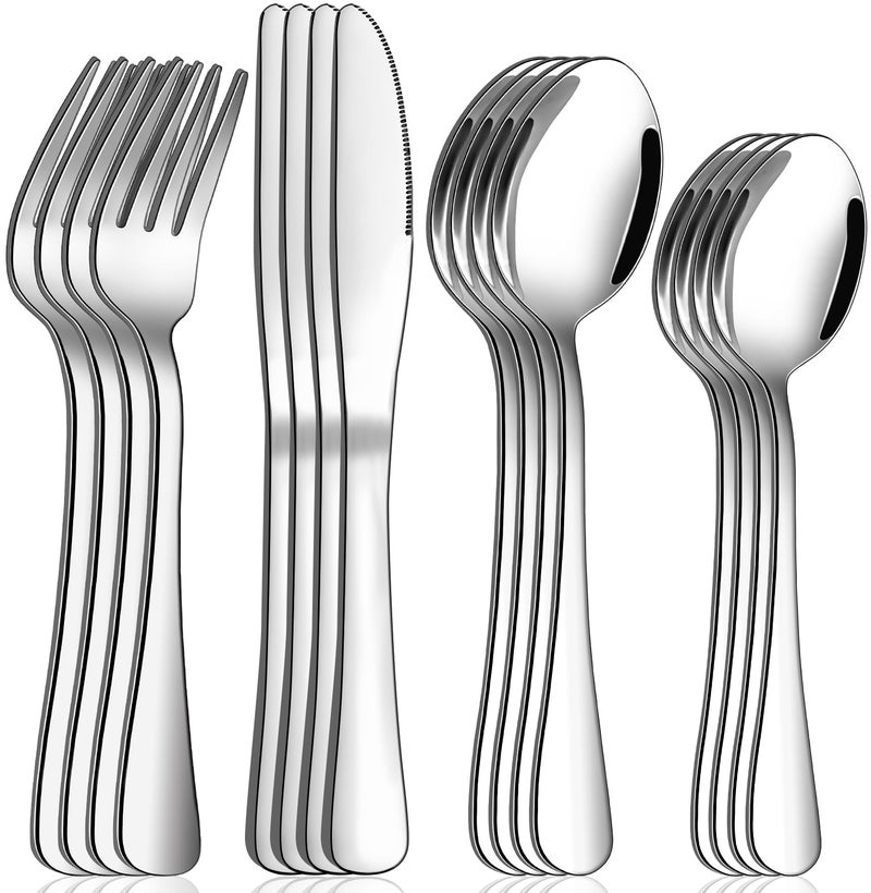 16 Piece Silverware Set  Service for 4  Wildone Stainless Steel Flatware Serving Set  Cutlery Set  Knives Fork and Spoon  Utensil Sets  Dishwasher Safe  Stunning Polished Finish