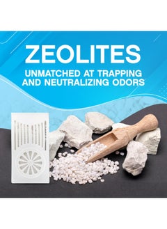 NonScents Most Effective Refrigerator Deodorizer Air Filter For Fridge Freezer Odor Eliminator 6 Months Air Freshener And Odor Remover Produce Preserver Outperforms Air Purifying Charcoal Bags Baking Soda 10X  - Image 5