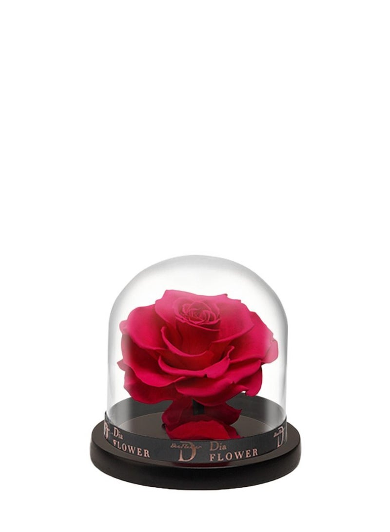 Dia FLOWER Premium Infinity SMALL - Image 4