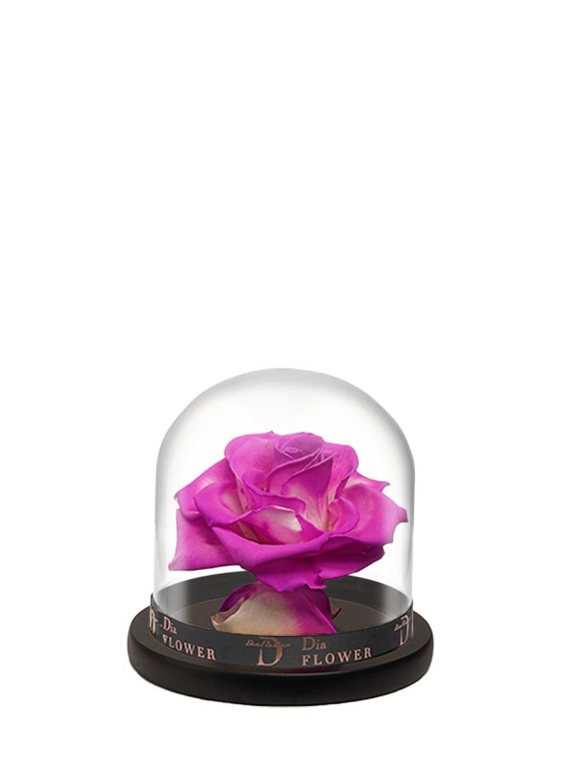 Dia FLOWER Premium Infinity SMALL - Image 3