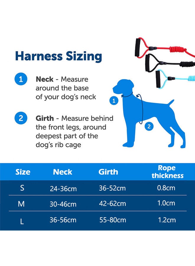 Neostyle Dog Harness,Dog Collar and Dog Leash Set,Adjustable Lightweight Pet Harness & Leash,Soft Walking Travel Petsafe Harness,Suitable for Medium and Small Cat and Dogs (Red(3-piece set)) - Image 3