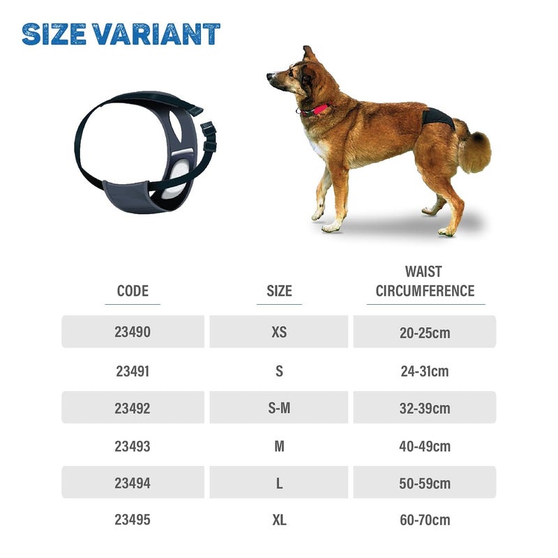 Trixie Combo of Protective Pants, 32-39 cm (S-M) and Replaceable Pads for Protective Pants, 10 Pads, (S-M) – Suitable for Female Dogs - Image 3