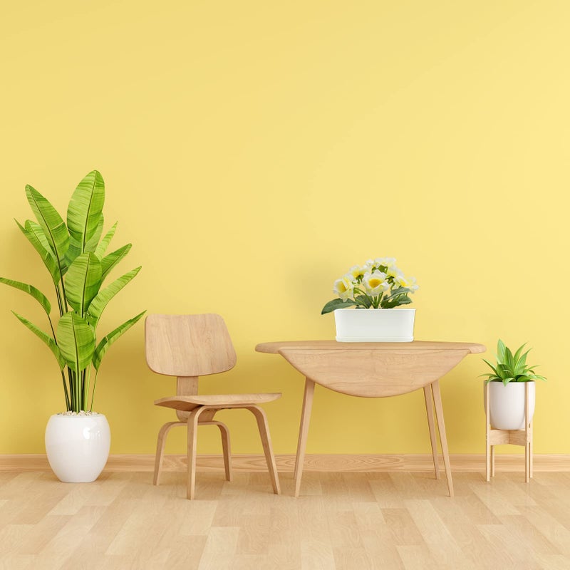 SORANGEUN صندوق زراعة الأعشاب البيضاء SORANGEUN 5-pack مع صواني تصريف، 8.5 بوصة، أصغر أوعية بيضاوية للنوافذ لمطبخ، داخلي وخارجي، مثالي للريحان، النعناع، النباتات العصارية، الزهور - Image 4