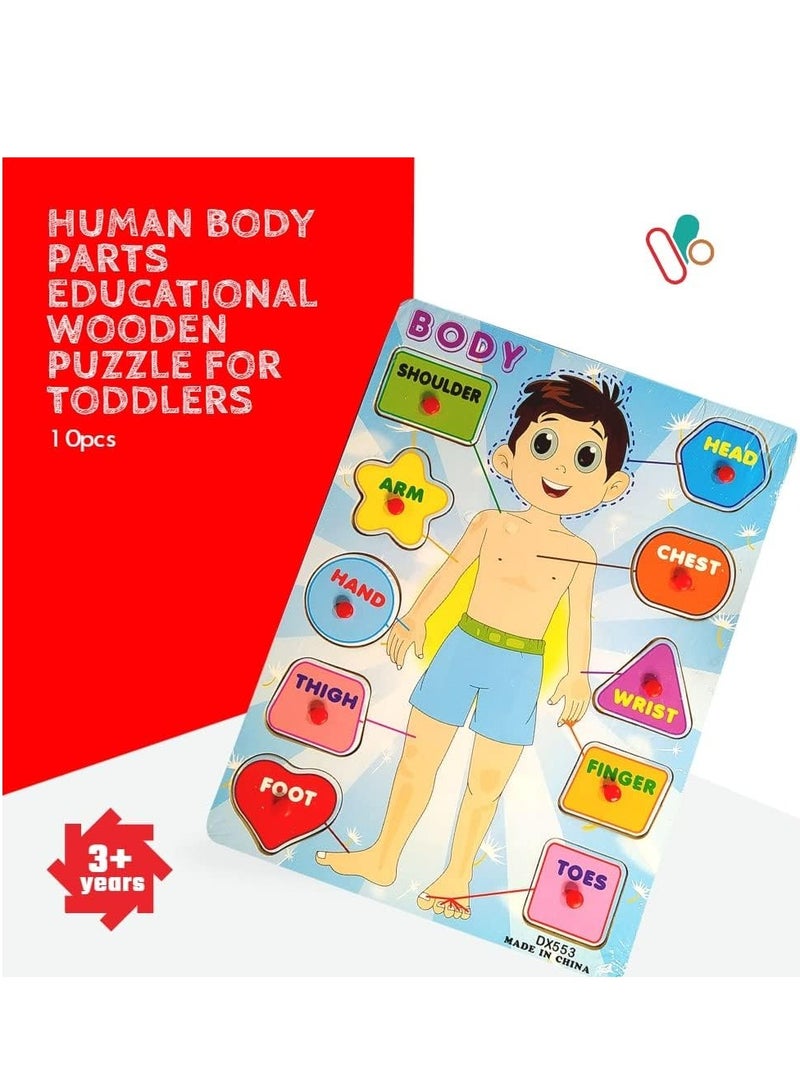 لغز جسم الإنسان بمقبض صبي - Image 2