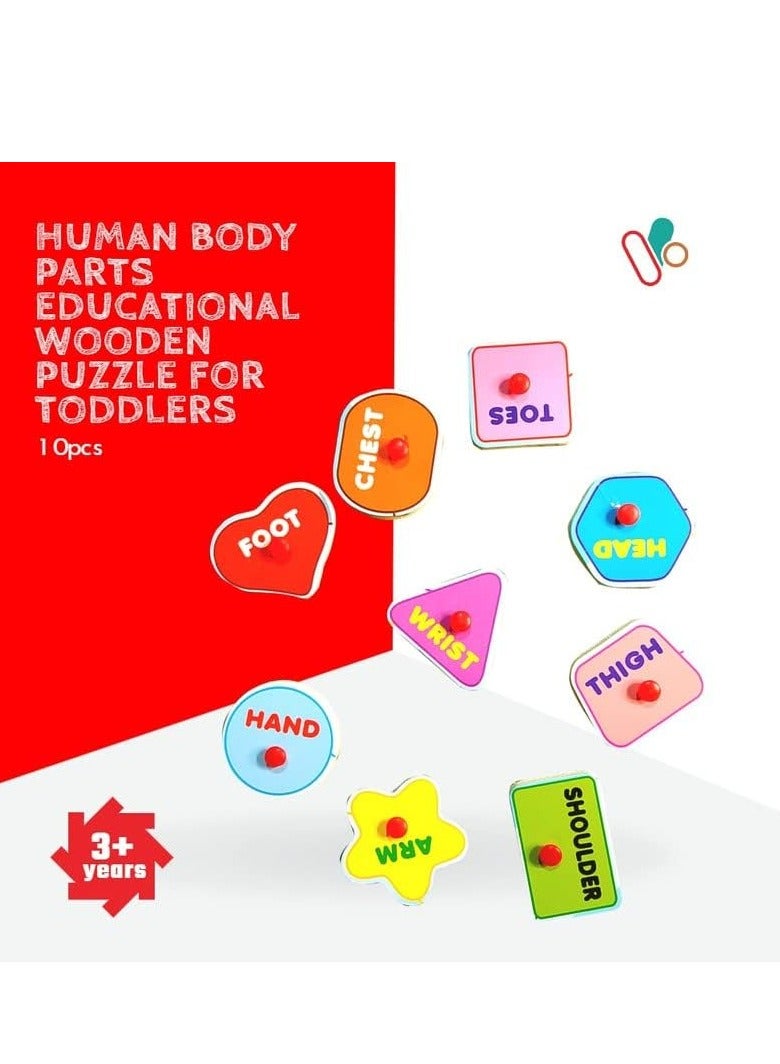 لغز جسم الإنسان بمقبض صبي - Image 3