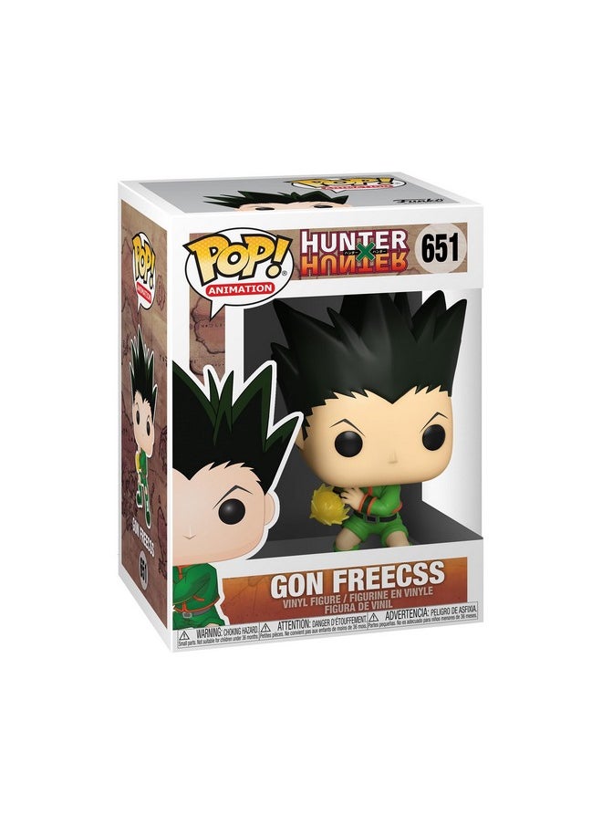 Funko Pop! Animation: Hunter X Hunter Gon Freecs Jajank Multicolor  - Image 2