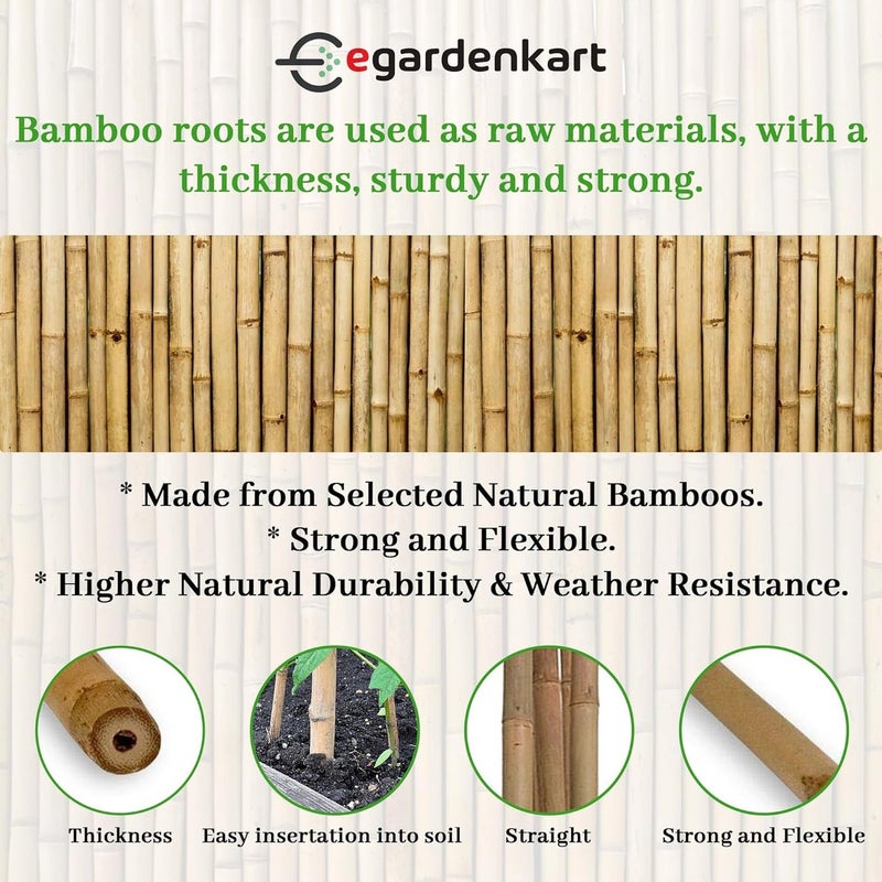 Egardenkart إي غاردن كارت، عصي الخيزران للنباتات - 60 سم، 10 قطع | دعامات النباتات | 24-16 مم، عمود دعم النباتات | عصا نبات متينة للزهور، الخضروات، والزواحف | عصي الحديقة (10 قطع، 60 سم) - Image 2