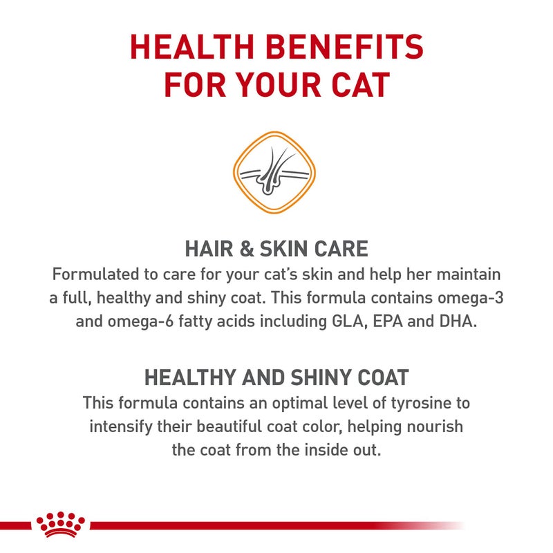 Royal Canin Feline Care Nutrition Hair & Skin Care Adult Dry Cat Food, 3 lb Bag - Image 3