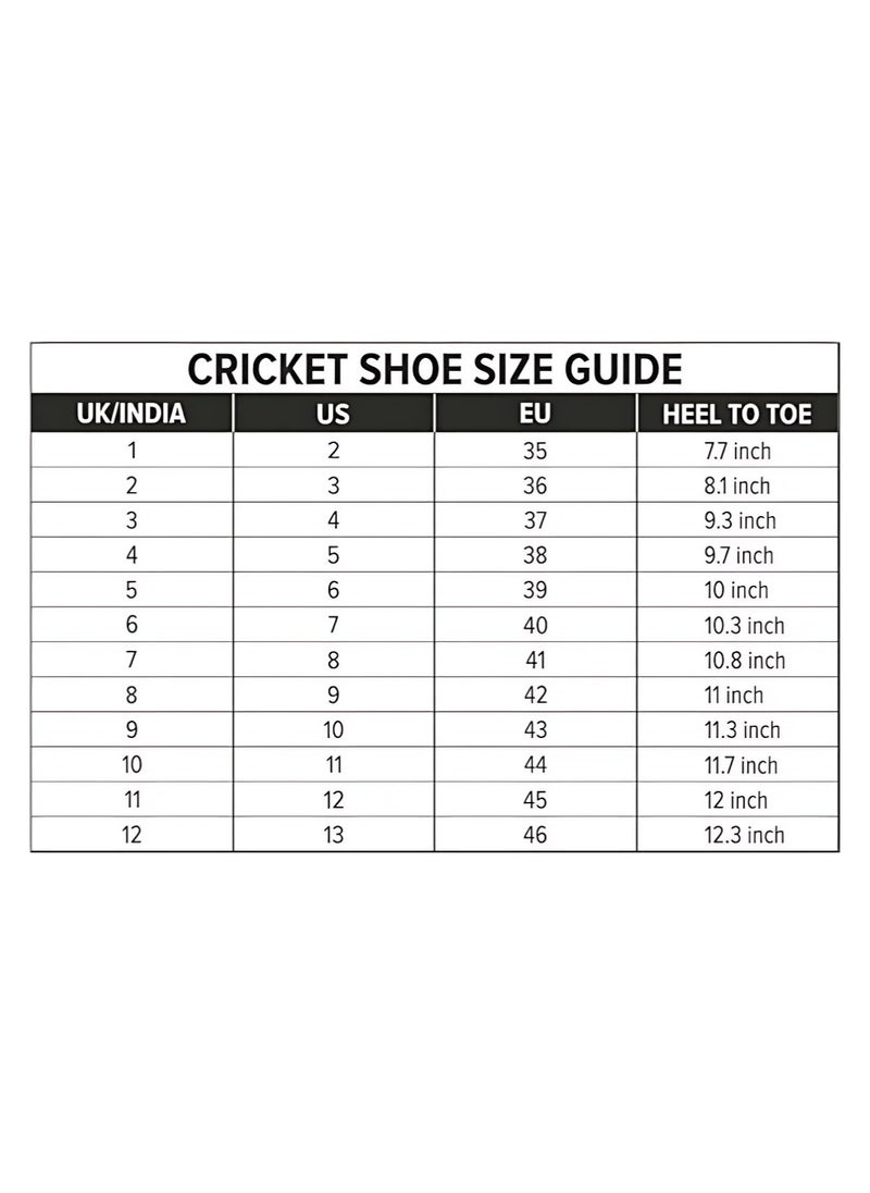 DSC - Beamer Cricket Shoes | For Boys and Men | Eva Sock Liner | Lightweight Outsole | Durable - Image 1