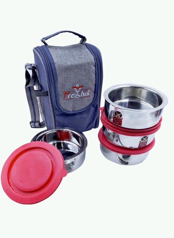 Freshia Stainless Steel 4-Tier Lunch Box Set, 270 Containers with Red Lids & Carrying Bag – Leak-Proof, Durable, Food-Grade, Compact, Ideal for Office, School, Travel, Picnic