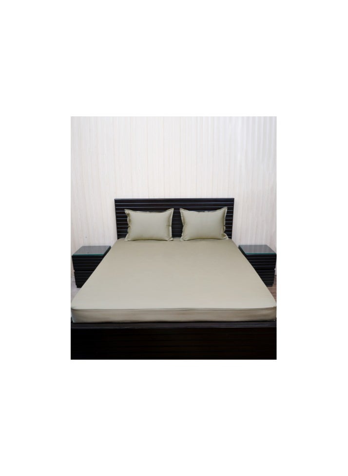 Dash And Twine Queen-Size Cotton Bedsheet With Pillow Cover  - Image 1