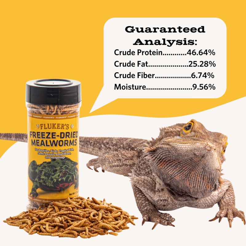Fluker's Freeze Dried Insects, Nutrient, Packed Mealworms, Ideal for Lizards, Reptiles, Birds, Fish, Hedgehogs, 1.7 oz - Image 2