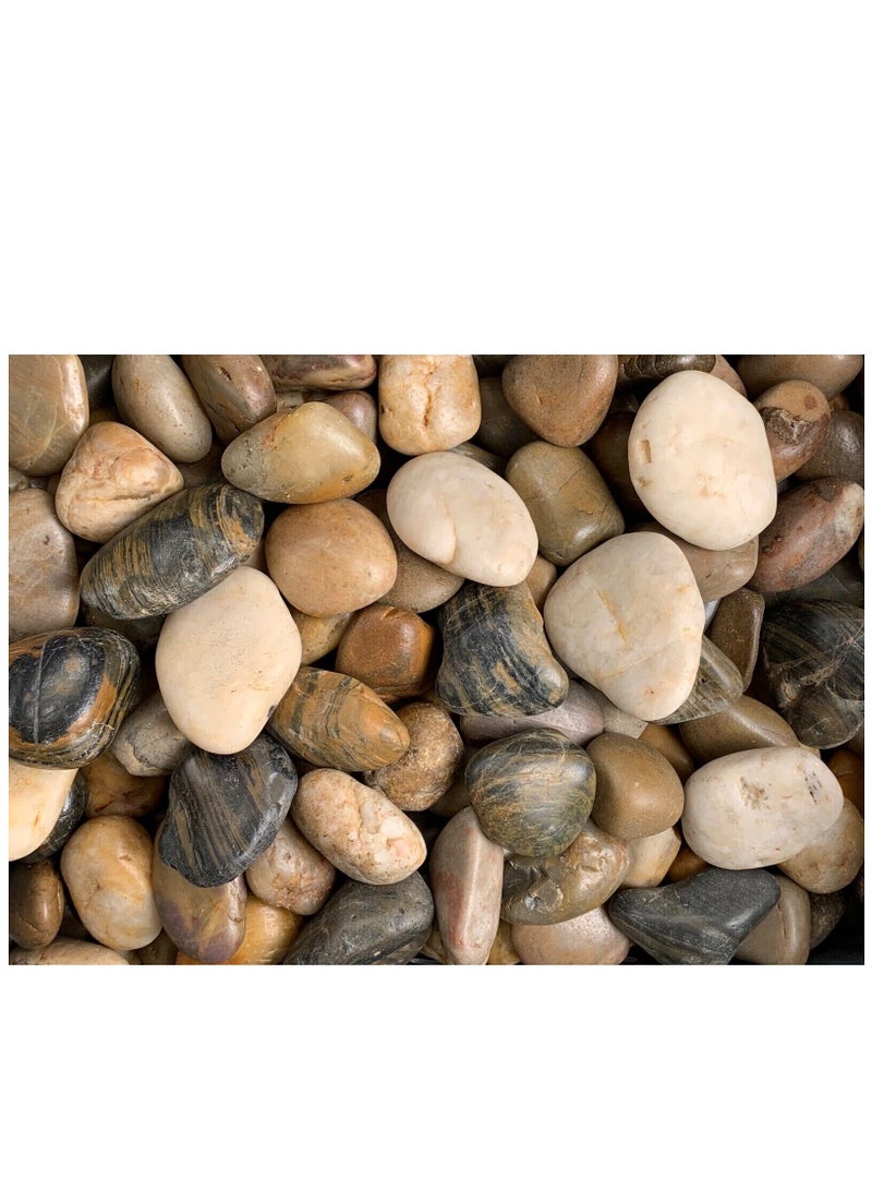 Bag of Decorative River Pebble Rocks - Image 2