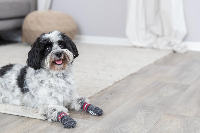 Trixie 19502 Non-Slip Grey Dog Socks, S-M, 1 Pair - Image 3