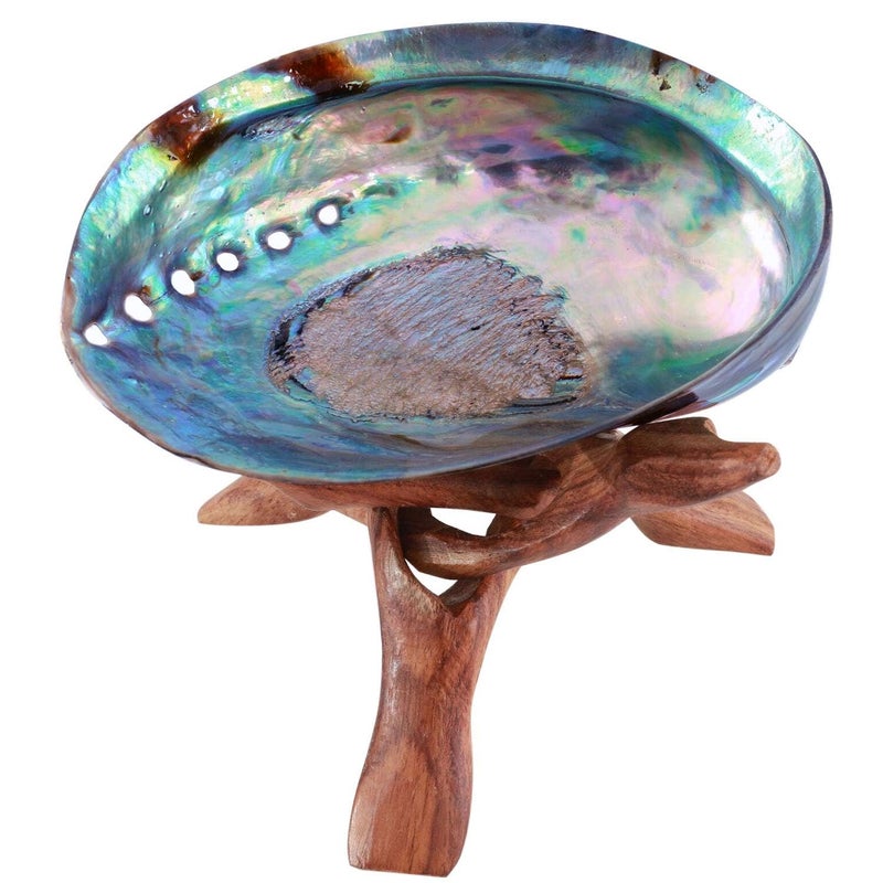 Polished Abalone Shell, 4.5" to 5.5", in Gift Box, for Smudging, Cleansing, Meditation, Home Décor and to Gift. 100% Natural Shell with Stand - Sustainably Sourced by Ocean Shell Studios New Zealand  (Shell+Stand)