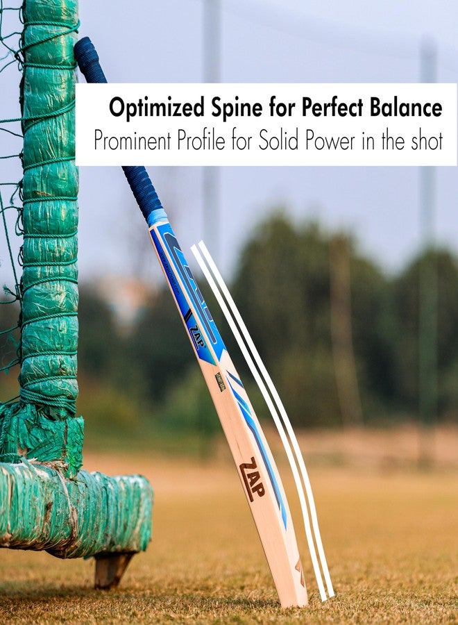 زاب مضرب كريكيت ZAP Glider من خشب الصفصاف الكشميري (مقاس 6) للأولاد من عمر 12-14 سنة | تصميم مصنوع يدويًا، توازن فائق، وتشطيب ممتاز للكريكيت الاحترافي بكرة الجلد | مثالي للأندية والبطولات - Image 5