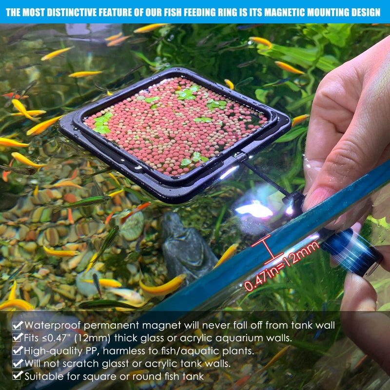 NestBasics Magnetic Fish Feeding Ring, Floating Aquarium Feeder Ring for Fish Tankï¼ŒBetta Feeding Ring for Goldfish, Guppy, Fresh/Saltwater Tanks- Prevents Food Scattering and Anti-Falling Offï¼ˆPatented Productï¼‰ - Image 3