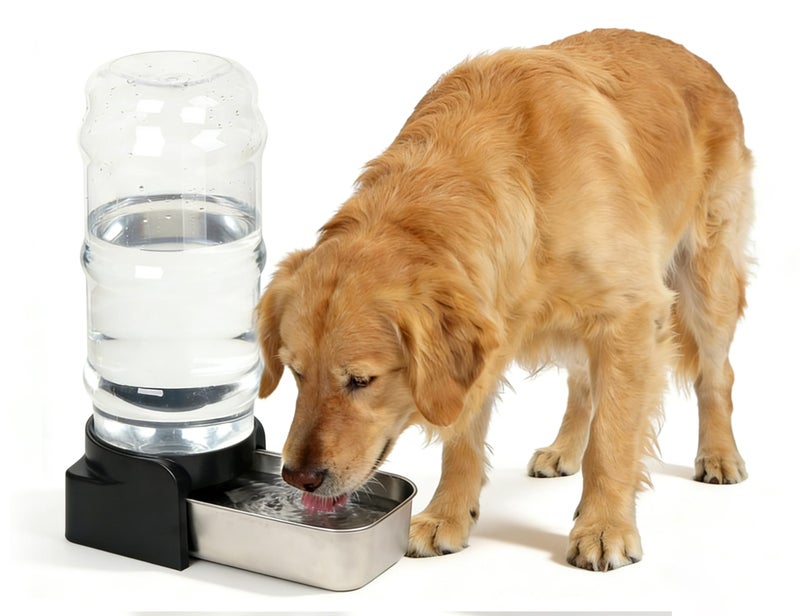 PAKEWAY Large Capacity Gravity Water Dispenser for Dogs, 2.3 Gallon Stainless Steel Pet Water Bowl for Medium & Large Pets, Low Refill Automatic Waterer with Filters - Image 1