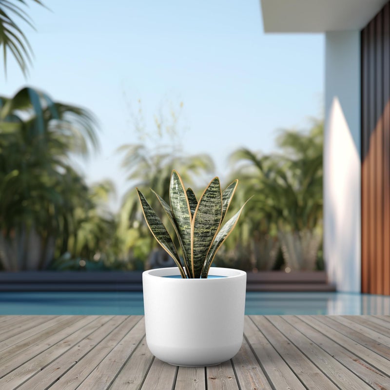 Kante Round Concrete Planter, 13.1 Inch Dia Classic-Style Large Pot with Drainage, White Finish with Painted Interior, for Indoor & Outdoor Plants, Home, Patio and Garden - Image 5