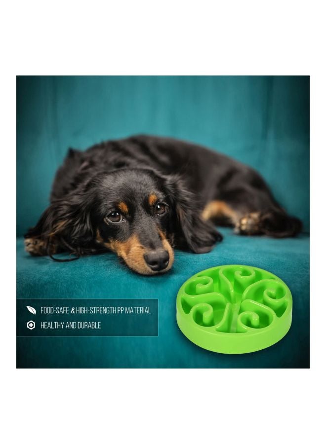 NIBEMINENT Dog Cat Slow Feeder Bowl Green 20x3.8cm - Image 5