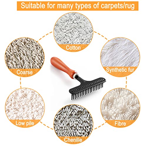 Astfys Hand Held Carpet Rake, Making Carpets Fluffy Again, Clean Hair, Let Carpet Restore Softness (Iron, Black) - Image 4