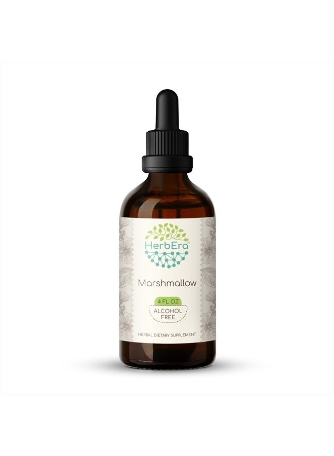 HerbEra Marshmallow Root B120 Alcohol-Free Herbal Extract Tincture, Super-Concentrated Marshmallow (Althaea Officinalis) (4 fl oz) - Image 1