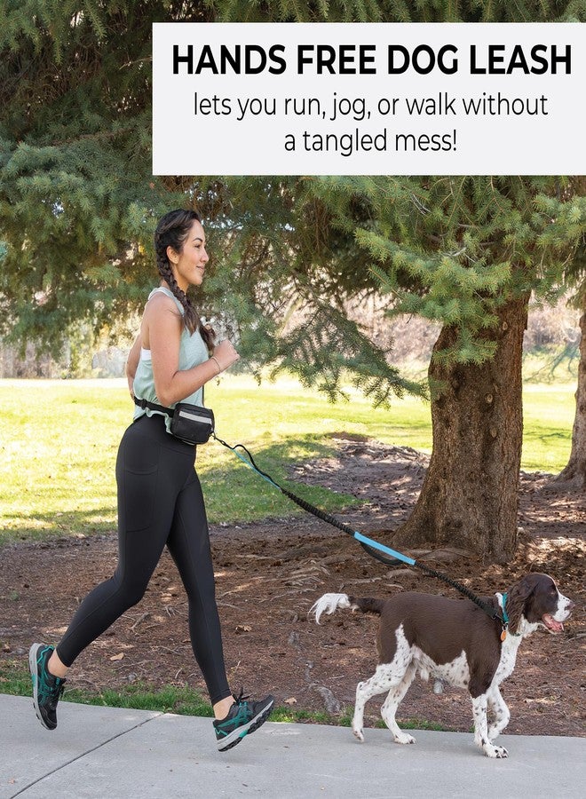 Squirrel Products Hands Free Dog Leash with Hip Belt/Crossbody Strap, Zipper Pouch, and Shock Absorbing Bungee for Walking or Jogging with pet (Black, Blue) - Image 2