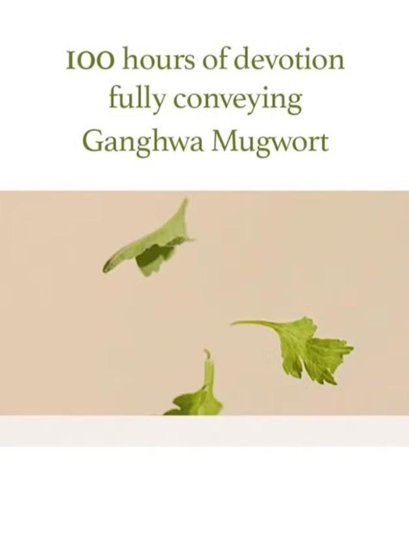 I'M FROM Mugwort Gel Cleanser 150ml, Mugwort Extract 60%, Natural Herbal Cleanser, Calming and Soothing Skin, Micro Cleansing Gel Suitable for All Kinds of Skin - Image 4