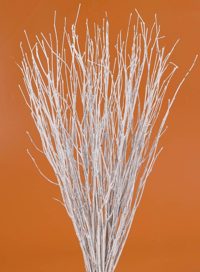 Jtoder 30Pcs Real Dried Birch Twigs - 17" White Decorative Birch Branches for Vase, Centerpiece, Wedding Decor, Sticks for DIY Crafts, Twig Wreath, Flower Arrangement, Plants for Rustic Home Decor - Image 1