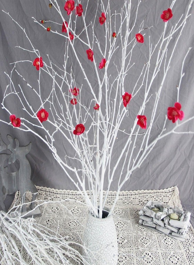 Jtoder 30Pcs Real Dried Birch Twigs - 17" White Decorative Birch Branches for Vase, Centerpiece, Wedding Decor, Sticks for DIY Crafts, Twig Wreath, Flower Arrangement, Plants for Rustic Home Decor - Image 3