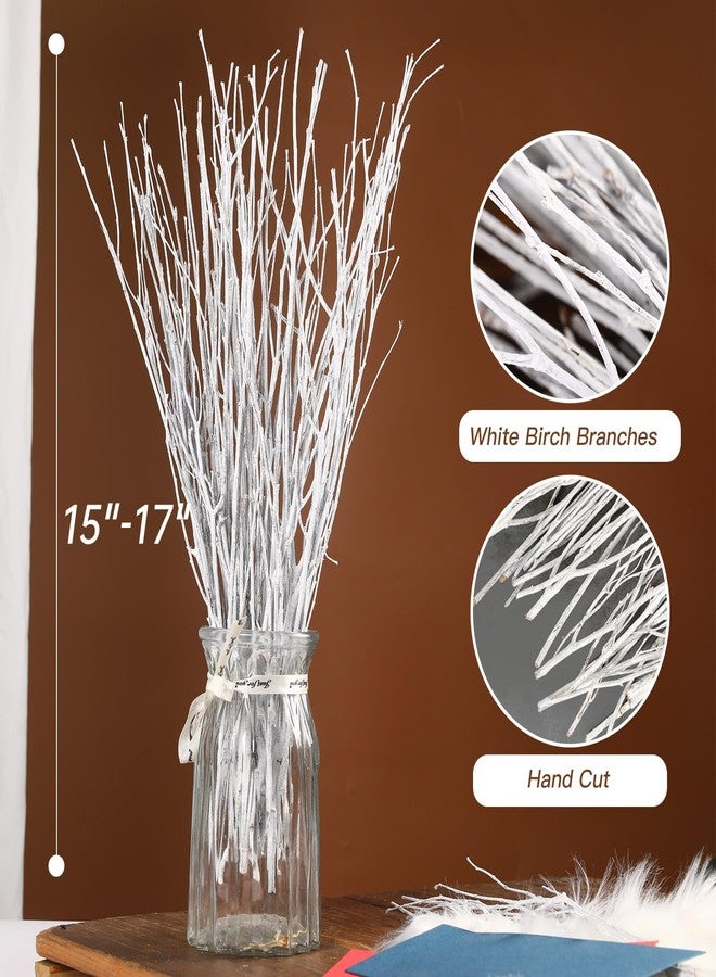 Jtoder 30Pcs Real Dried Birch Twigs - 17" White Decorative Birch Branches for Vase, Centerpiece, Wedding Decor, Sticks for DIY Crafts, Twig Wreath, Flower Arrangement, Plants for Rustic Home Decor - Image 4