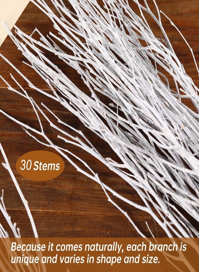 Jtoder 30Pcs Real Dried Birch Twigs - 17" White Decorative Birch Branches for Vase, Centerpiece, Wedding Decor, Sticks for DIY Crafts, Twig Wreath, Flower Arrangement, Plants for Rustic Home Decor - Image 2