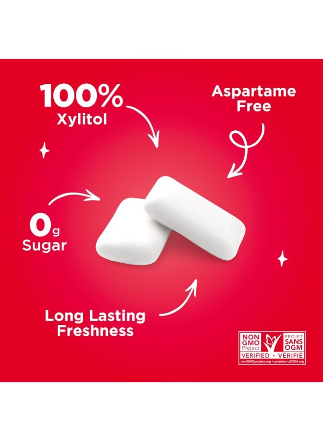 Cinnamon Sugar free and diabetic friendly gum 55 Pieces - Image 3