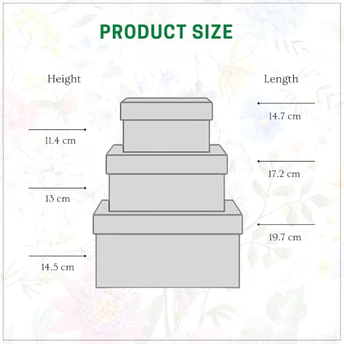 Oasis Pack of 3 Premium Square Gift & Flower Hamper Boxes With Lid | Classic Bouquet Box for Flower Arrangements & Gift Hampers | Decorative Gift Packaging Box With Waterproof Liner - Gold - Image 3