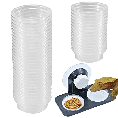 MRTIOO Lizard Gecko Feeding Ledge Holder with 100 pcs 05oz Food Cups Dish - Image 2