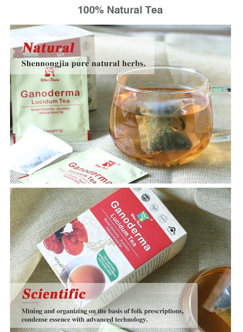 وينز تاون شاي غانوديرما لوسيدوم، شاي أعشاب مُعزّز للطاقة، شاي فطر الريشي الصحي للتخسيس، مُكمّل غذائي خالٍ من الكافيين لتعزيز المناعة وخفض دهون الدم، ٢٠ كيسًا. - Image 4